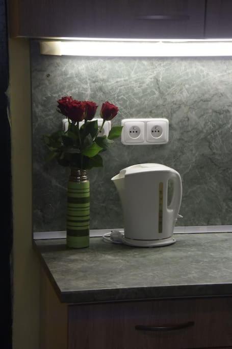Cosy Warm Apartment In The Heart Of Prague. Buitenkant foto