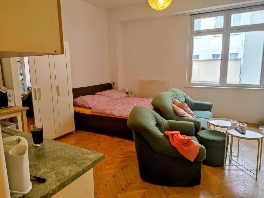 Cosy Warm Apartment In The Heart Of Prague. Buitenkant foto